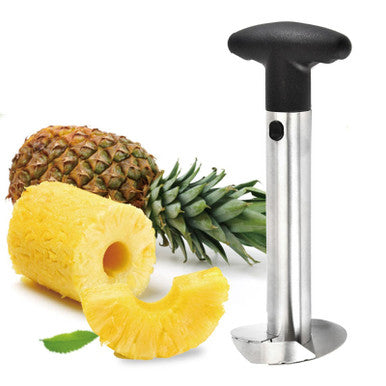 Pineapple Corer Tool